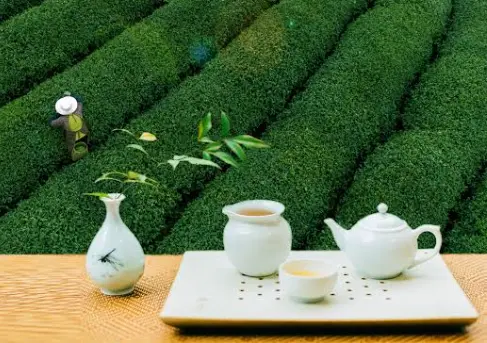 上海会所雪茄房使用规则与存酒服务解析，别踩坑了才拍大腿